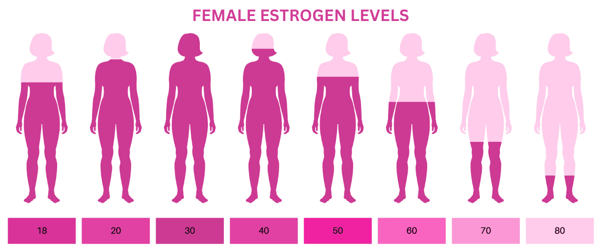 An infographic showing typical female estrogen levels at different ages, with silhouettes of women and corresponding estrogen level range bars from age 18 to 80.